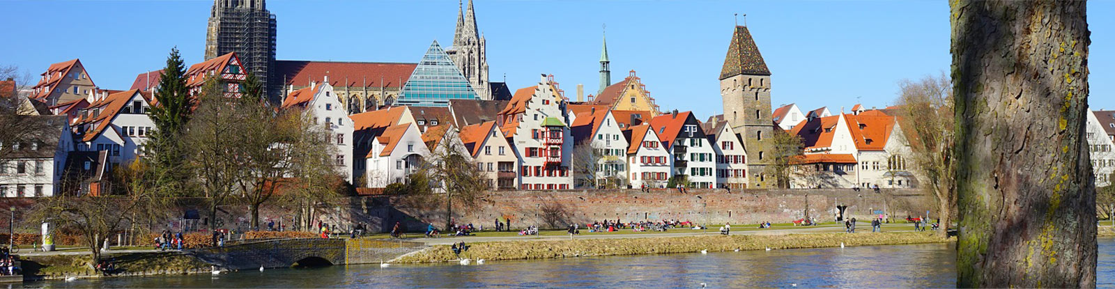 Ulm mit Donau